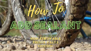 How To Add Bike Tube Sealant With Non-Removable Presta Valve/ 2021 Trek Marlin 7