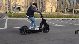 Electric Scooter WEPED Sonic Burnout