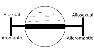 What is the aromantic and asexual spectrum?