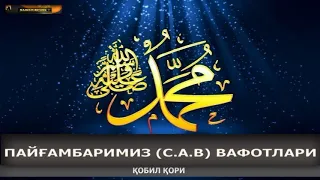 PAYG'AMBARIMIZ S.A.V ning VAFOTLARI - Qobil qori || Кобил кори -  ПАЙҒАМБАРИМИЗ С.А.Внинг ВАФОТЛАРИ