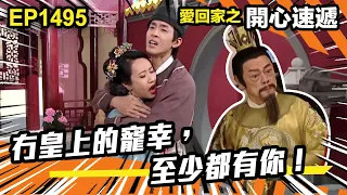 愛．回家之開心速遞 | 第1495集精華 | 冇皇上的寵幸，至少都有你！