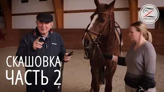 Скашовка в верховой езде