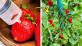 Gardening Hacks: Unlock your Inner Gardener and Plant Food at Home 🍓🌱🍅