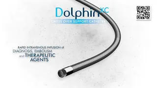 DolphinXC  Crossing  Support Catheter