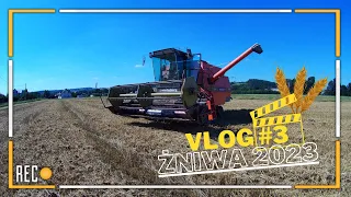 🇵🇱🔥 Vlog #3 🔥🇵🇱🔥😱 Żniwa 2023 pszenica sypie I Dronningborg d4000s & Ursus 2812 😱🔥⭐Gr_Libusza⭐#żniwa