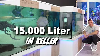 Hobby room - 15.000 liters tanks - BIG FISH + FILTER - stingrays + arowanas  *english subtitles*
