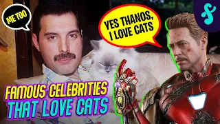 Famous Celebrities that Love Their Cats | Furry Feline Facts