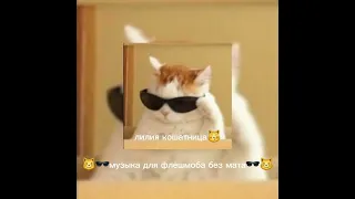 😼🕶музыка для флешмоба🕶😼 #подпишись пж #высупер