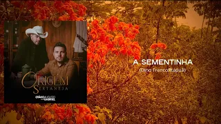 OTÁVIO AUGUSTO E GABRIEL - A SEMENTINHA   (ORIGEM SERTANEJA)