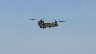 RIAT 2014 RAF Chinook Display Team