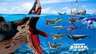 NEW BIG MEGALODON EVIL ZOMBIE SHARK PLAY IN 2 MAP HUNGRY SHARK WORLD - HUNGRY SHARK WORLD GAMEPLAY