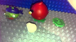 Angry bird vs pig stop moition