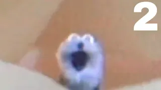 Screaming blue thing compilation (headphone warning) PART 2