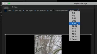 Set up and Export a Vertical Video from 16:9 Footage - Adobe Premiere Pro - Workaround Workflow