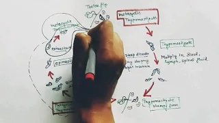 Trypanosoma Lifecycle Hindi | Trypanosoma gambiense lifecycle | Trypanosoma brucei | Trypanosomiasis