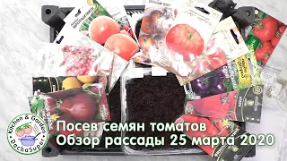 Посев семян томатов. Обзор рассады. 25 марта 2020