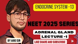 Adrenal gland, endocrine system -13, chemical coordination and integration by Akki kasana