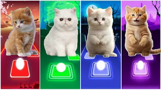 CUTE CATS BLACKPINK😸JISOO FLOWER😸LISA MONEY BLACKPINK FANNY CAT😸BTS MIC DROP😸FIFTY FIFTY CUPID