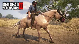 CAVALOS INCRÍVEIS - Domando os mais belos CAVALOS  -  Red Dead Redemption 2