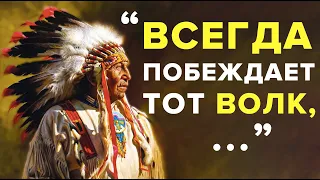 Лучшие Индейские пословицы и поговорки. Цитаты индейских вождей, о которых стоит задуматься.