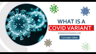 COVID Variant Explained. Why Omicron called 'a Variant of Concern"?