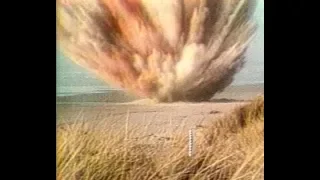 Exploding Whale 1970