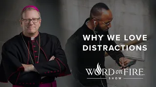 Why We Love Distractions