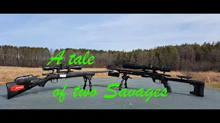 Savage MkII FV -vs- Savage B22 Precision?