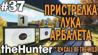 theHunter call of the wild #37 🔫 - Стрельбище: Пристрелка Лука, Арбалета - Охота Из Лука