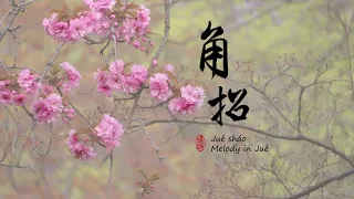 角招 Jué Sháo (Melody in Jue)