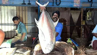 VERY BIG PAARAI FISH AMAZING CUTTING BY KASIMEDU SEKAR ⚔️🔥