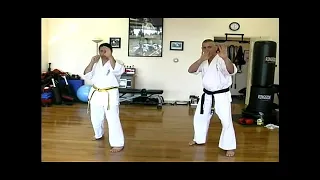 Basic Kyokushin Karate Stances