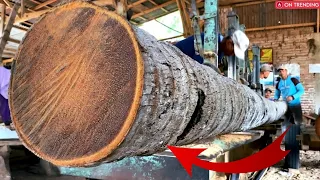 Sawing the World's Longest Old Coconut Lumber Log: A Challenging but Rewarding Project