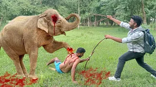 Elephant Attack Man In Forest ! Elephant Encounter Fun Made Movie Part -2