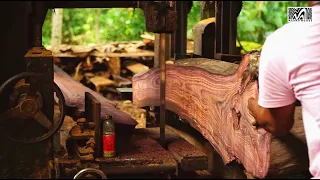 The Most Gorgeous & Expensive Wood in The World - ROSEWOOD / SONOKELING