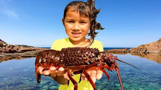 Finding Amazing Sea Creatures In Tide Pools Adventure