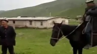 Эгиз тууган бээлер, аябай аз кездешет!👍🐎