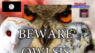 YTP: BEWARE OWLSIS