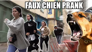 Faux chien prank (ils partent en courant !) - Les Inachevés