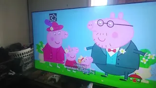 Peppa Pig Wedding Party Bus On Treehouse TV