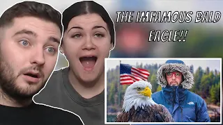 British Couple Reacts to Let's Talk About America's Iconic Bald Eagle