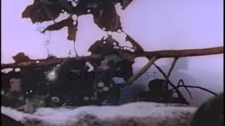 United States Marines blast a Japanese pill box in Saipan, Mariana Islands during...HD Stock Footage