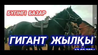 БҮГІНГІ САРЫАҒАШ МАЛ БАЗАРЫ | ЖЫЛҚЫ БАҒАСЫ | МАЛ БАЗАР 2024