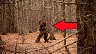 7 Most Believable BIGFOOT Sightings Video Footage of Yetti -2017