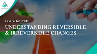 Understanding Reversible & Irreversible Changes