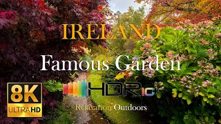 Ireland Blooming Flowers 8K HDR Mount Usher Gardens in County Wicklow - Spring Garden Tour 2024
