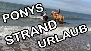 MIT DEN PONYS AM MEER ♥ | URLAUB IN HOLLAND! | Marina und die Ponys