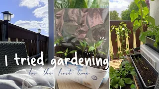 Balcony Garden • Small Space • Minimal Effort • Garden on a Budget