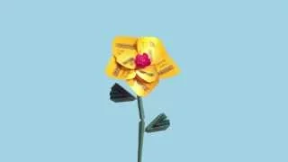 Twinings Advert 2016 - Twinings Flowers