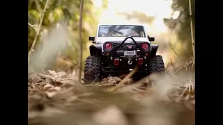 Axial SCX10 II Jeep Wrangler Rubicon Bamboo forest #